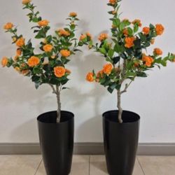 *** HOLIDAY SALE *** PAIR of 50" Faux Orange Camellia Trees in 22" Black Resin Planters @ Lasting Creations