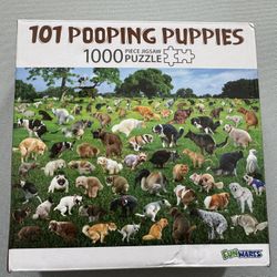 FunWares 1000 piece puzzle *NO MISSING PIECES*