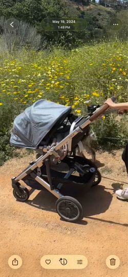 Uppa baby Cruz V2