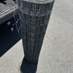 Galvanized Chicken Fence, Metal Wire, Fencing 