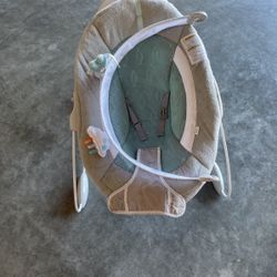 Baby Bouncer