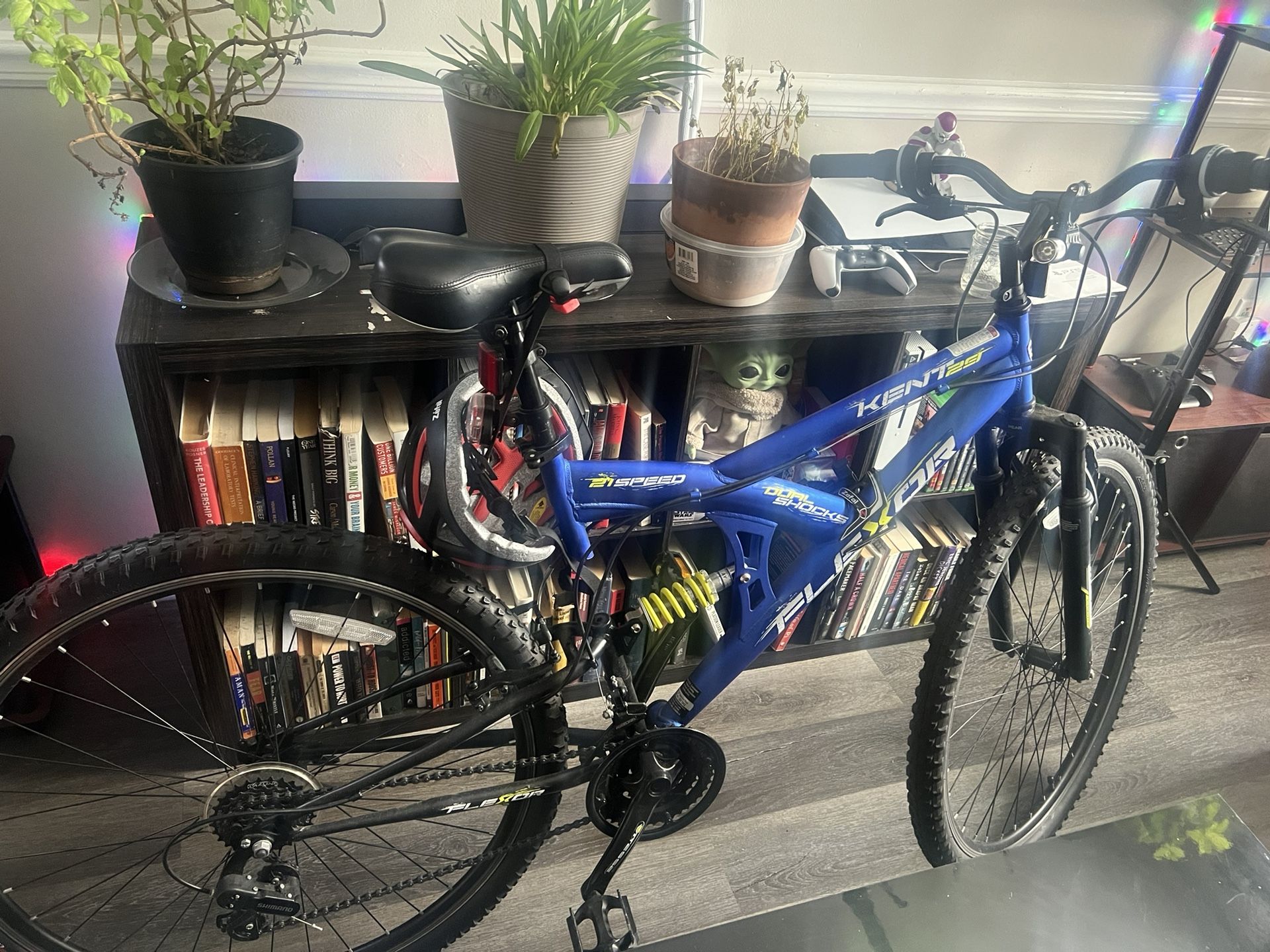 Kent 29 Bike
