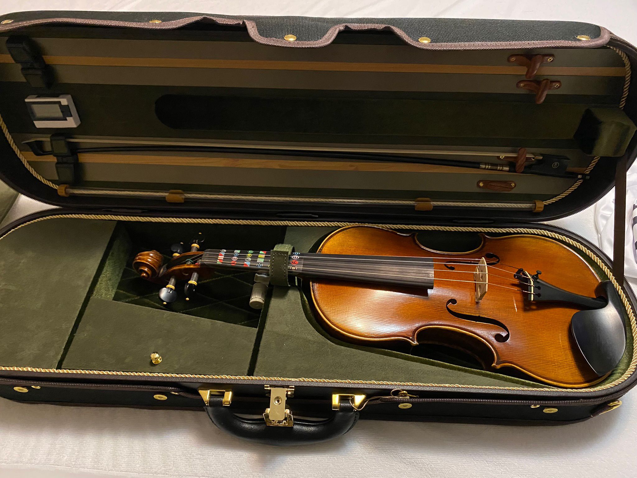 Fiddlershop Fiddlerman Master Violin