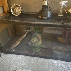 Large Aquarium
