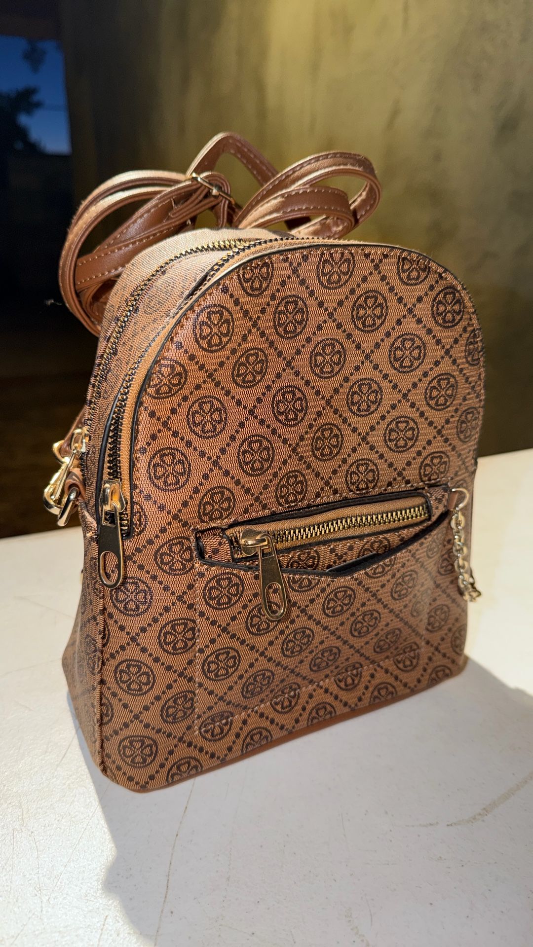 Small Backpack/Handbag