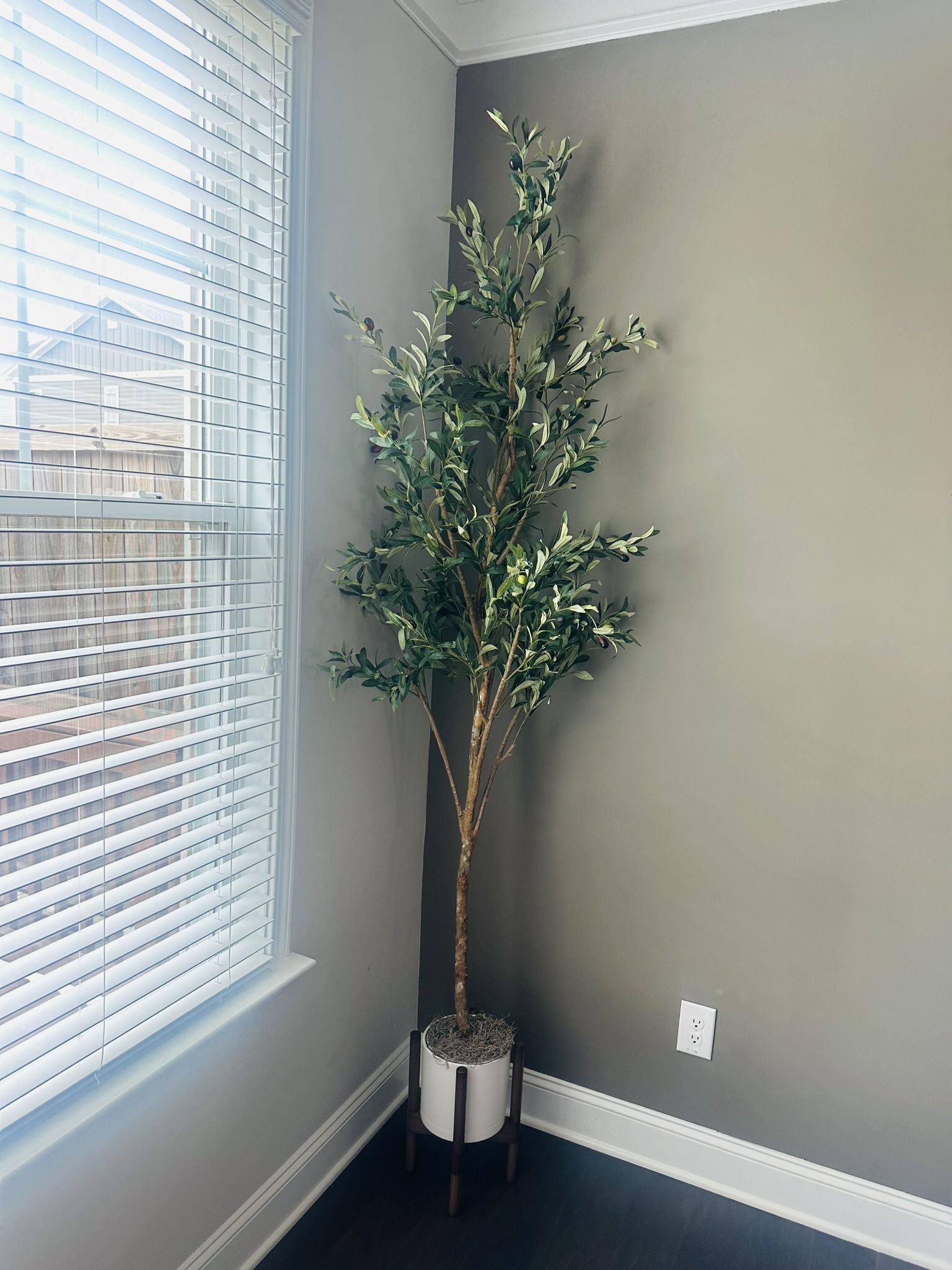 Plant Decor