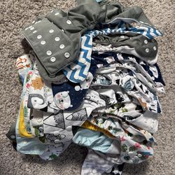 Cloth Diaper Lot 