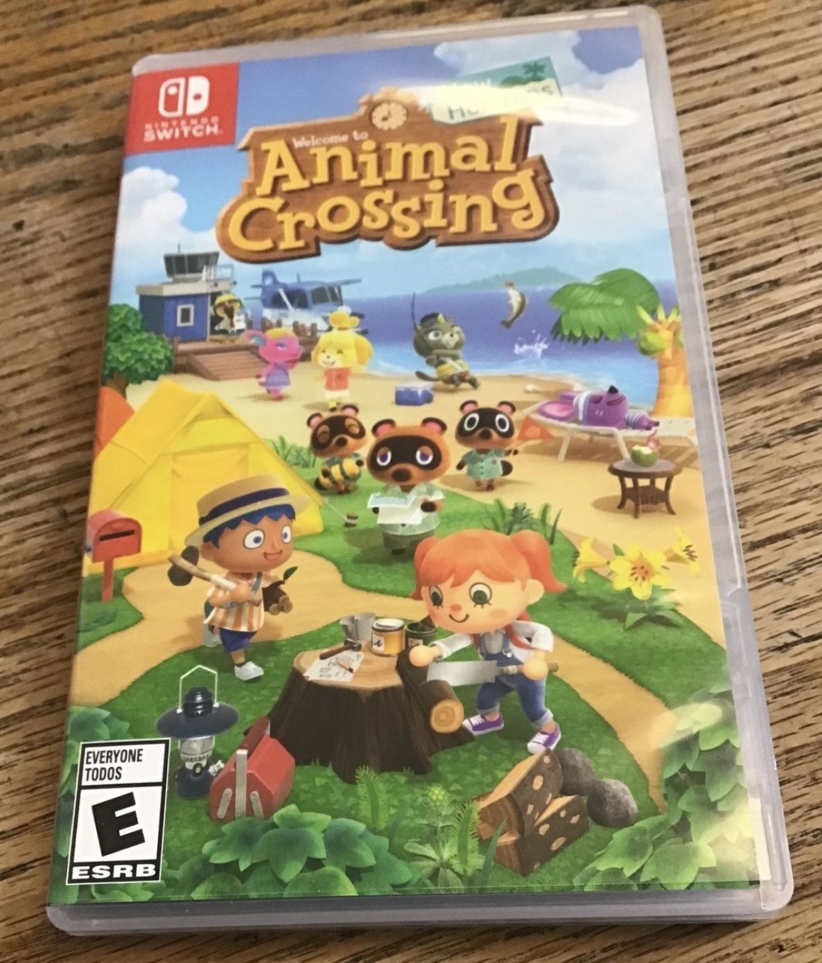 Nintendo Switch Game