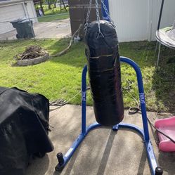 Everlast Punching Bag Stand With Punching Bag 