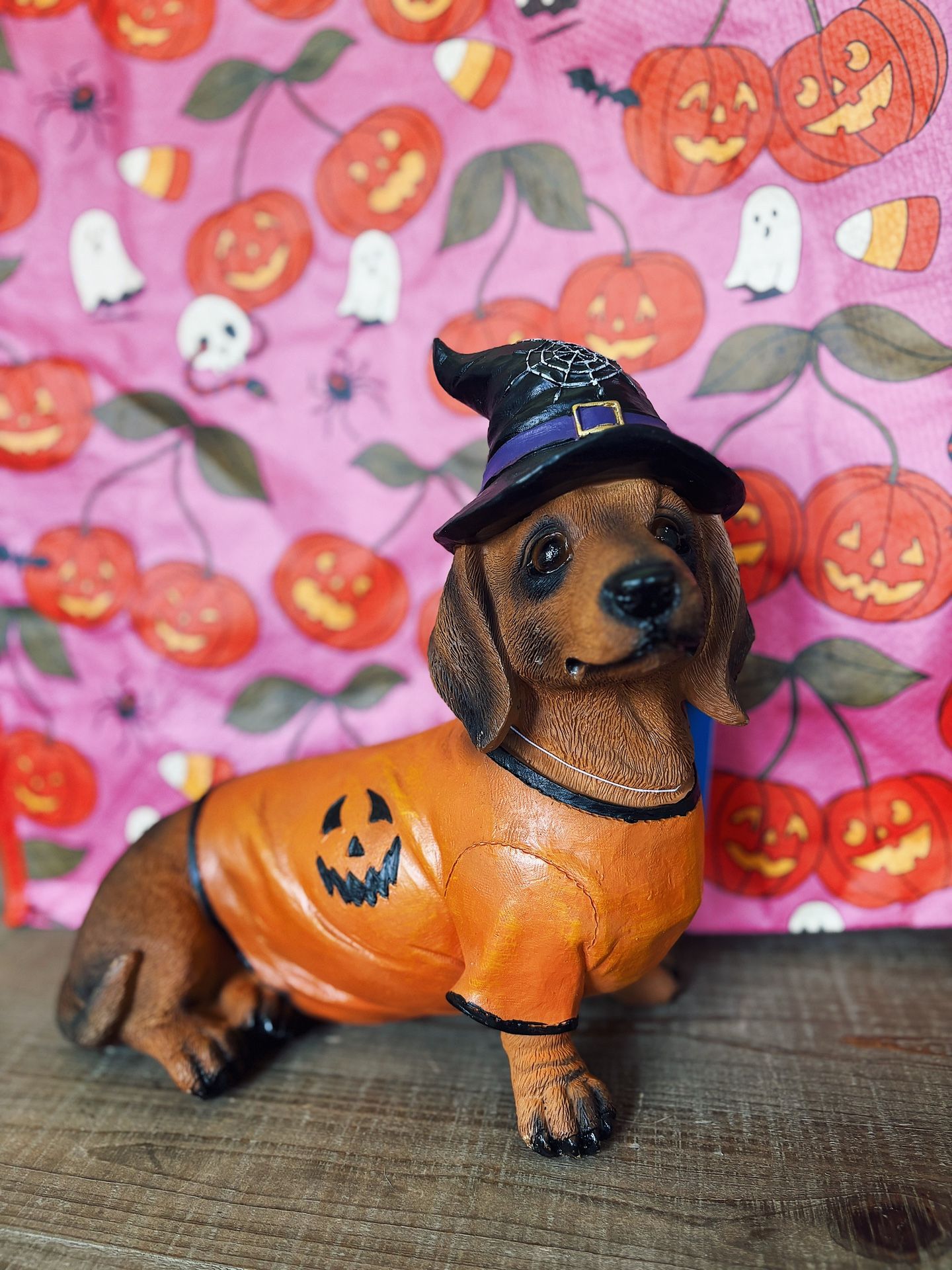 Tjmaxx Halloween Doxie Witch