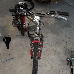 20 inch Kids Mountain Bike.