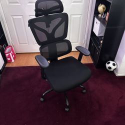 Ergonomic Mesh Office Chair