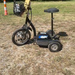 Three Wheel Scooter 