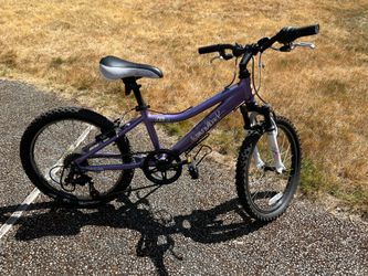 Girls 20” diamondback mountain bike