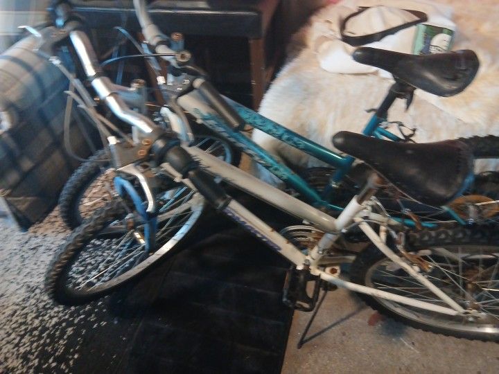 Road master Mountain Bike