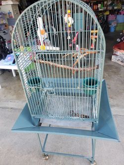 Bird Cage