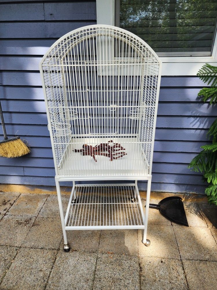 Bird Cage
