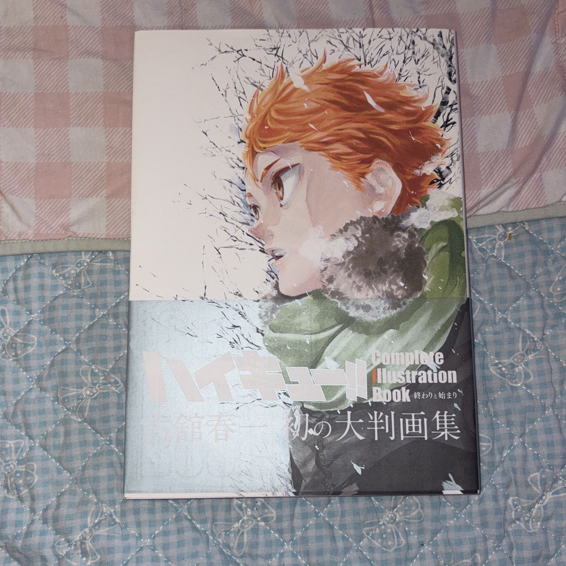 Illustration Book Haikyu!!