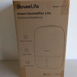 Humidifier 