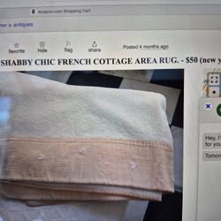 Vintage SHABBY CHIC Area Rug. Mint Condition.