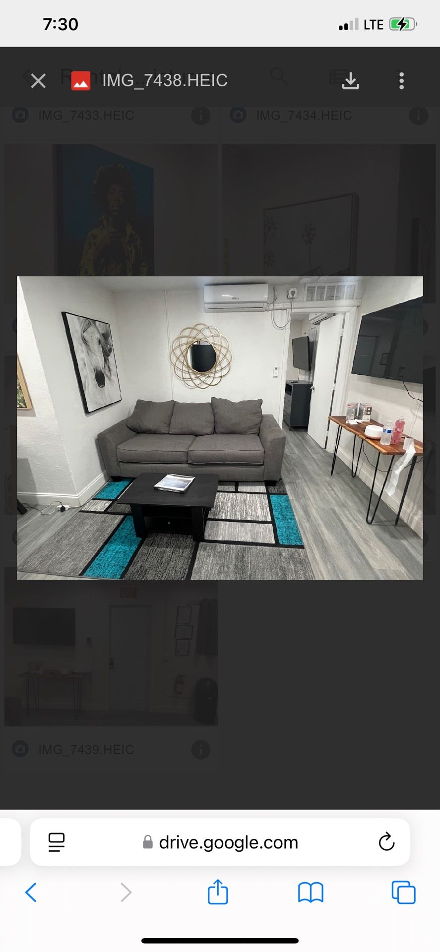 Grey Pull Out Bed Couch 