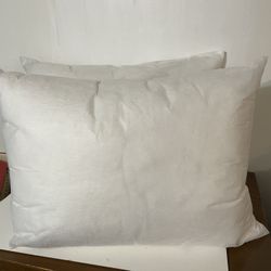Two Very Full Pillows By Restoration Hardware Never Used