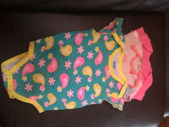 Baby Girl Onesies (3-6 Months) (3)
