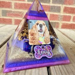 Pet Keepsake Baby Keepsakes/ Memorials