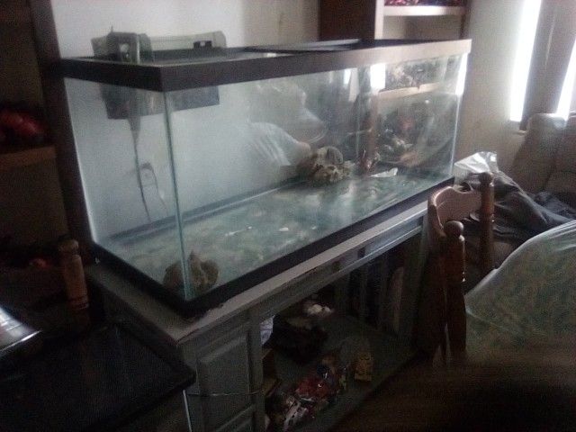 Two Very Nice Aquariums One Of Them Is $125 Gallon And The Other One Is 75 Gallon And They Both Have Fuel Filters