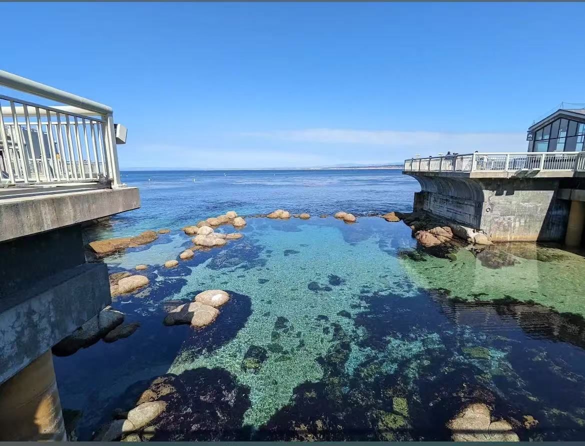 Monterey Bay Aquarium E-Ticket Notice!  Confirm the date and email address. You can pay through the Zelle or Cash in person （In Fresno Only）！ I'll boo