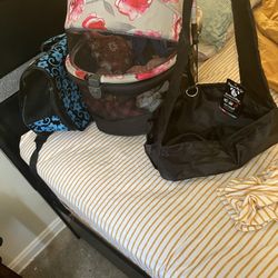 Dog Carseat Carrier And 2 dog Bag Carrier Everything For 40.00 need gone today