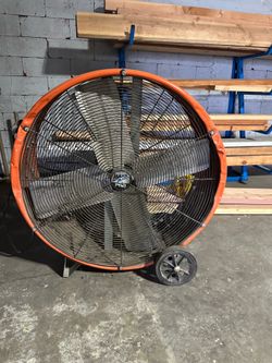 Fan