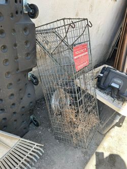 Animal (coon) trap