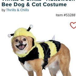 NEW Thrills & Chills™ Halloween Bee Dog & Cat Costume ** Retails For $25 An Absolute Steal @$15 !!**