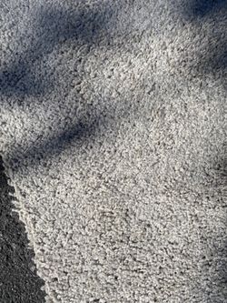 LIGHT BROWN Carpet