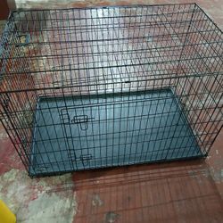 Dog Kennel