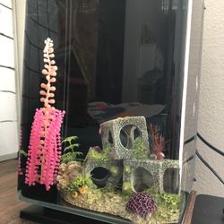 Fishbowl Glofish Tank 5 Gallons