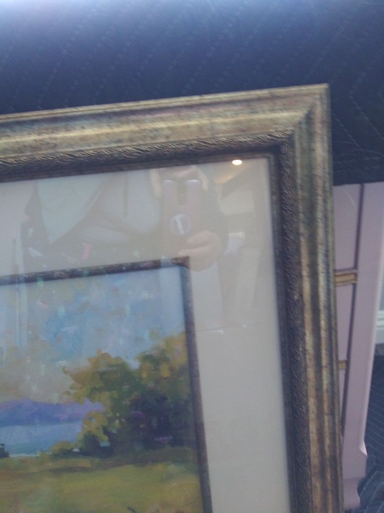 Large Beautiful Pastel Picture