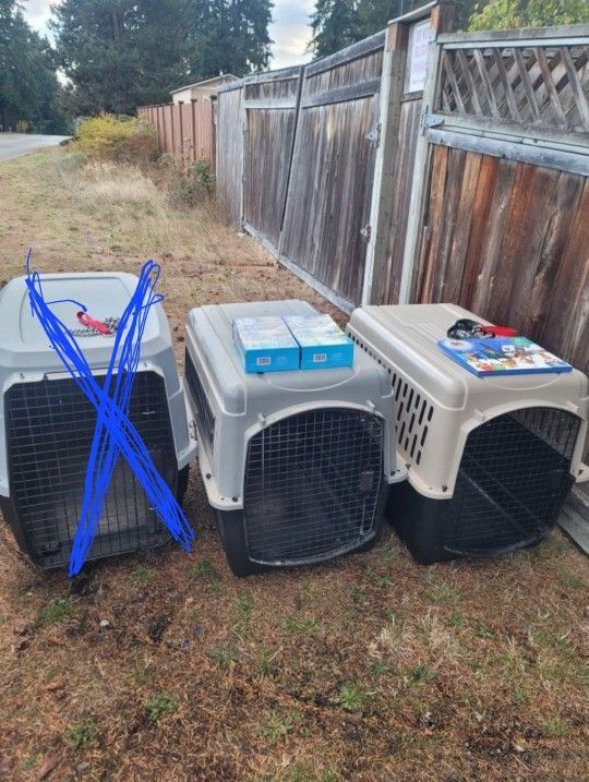 Large Dog Kennels $50 Each