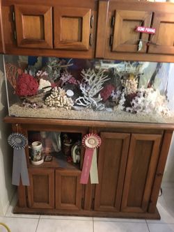 55 gallon acrylic fish tank