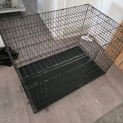 Dog kennel