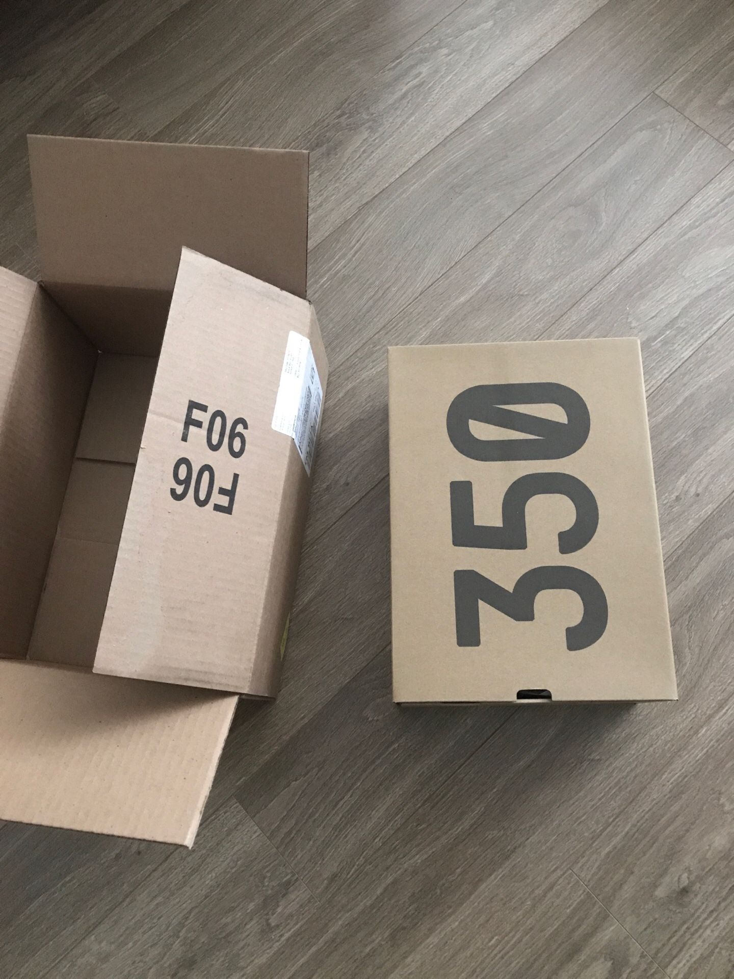 Adidas Yeezy Boost 350 V2 Sesame