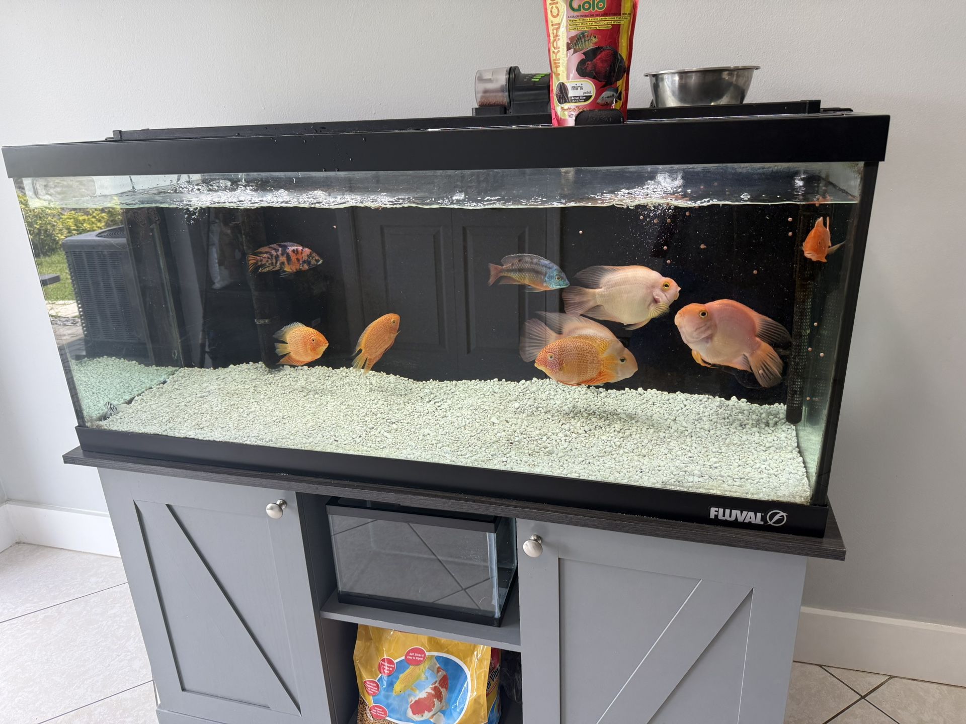 75 Gallon Fish Tank