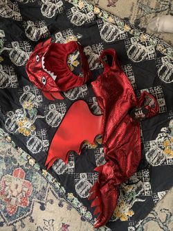 Dog Dragon Halloween Costume