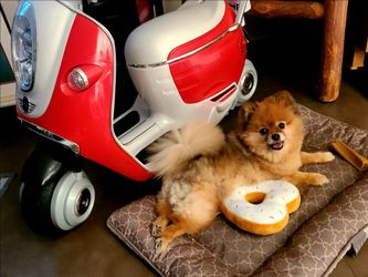 Kids Electric scooter