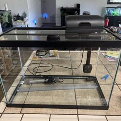 Fish tank