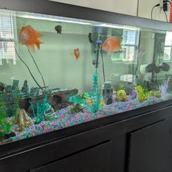 Colorful Neon Gravel