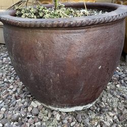 Planter / Pot