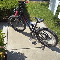 20” Trek Precaliber Mountain Bike 