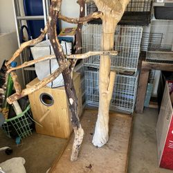 Large Parrot Perch 